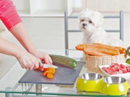 Homemade dog food recipes must include complete and balanced nutrition in order to be healthy.