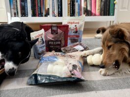 We've reviewed a selection of chews and chew types in order to find the best dog chews as well as the safest.