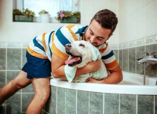Medicated dog shampoos can cure a dog of skin infections and other conditions, but you should be aware of what is in them.