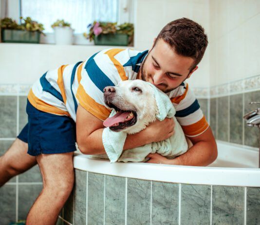 Medicated dog shampoos can cure a dog of skin infections and other conditions, but you should be aware of what is in them.