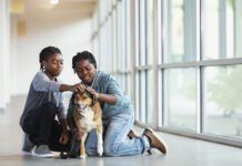 A meet and greet is an important part of meeting a rescue dog.