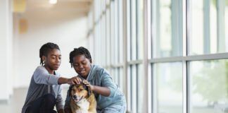A meet and greet is an important part of meeting a rescue dog.