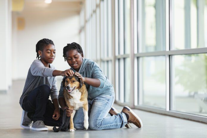A meet and greet is an important part of meeting a rescue dog.