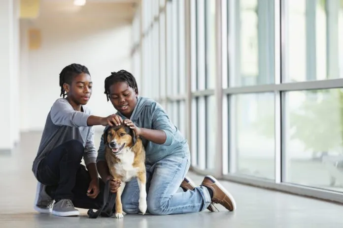 A meet and greet is an important part of meeting a rescue dog.