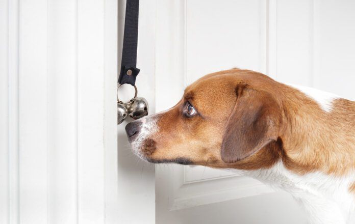 Bell training a dog means creating an association between the ringing out the bell and going outside for potty.