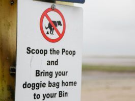 Doggy bags should never be put in a strangers trash can.