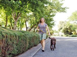 There are several ways of gauging whether or not the pavement is too hot to walk your dog.