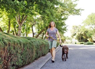 There are several ways of gauging whether or not the pavement is too hot to walk your dog.