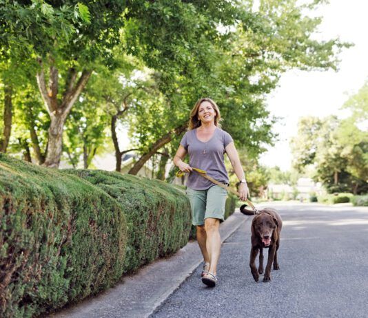 There are several ways of gauging whether or not the pavement is too hot to walk your dog.