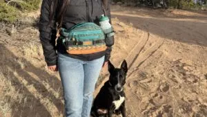 An eco-friendly dog water bottle will decompose rather than leave plastic in the environment.