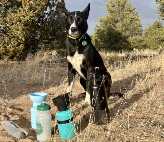 A dog water bottle helps keep your hiking buddy hydrated and healthy on long hikes.
