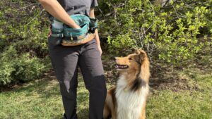 The mega hip back is the best dog treat pouch for hikers thanks to the extra space for additional water and gear.