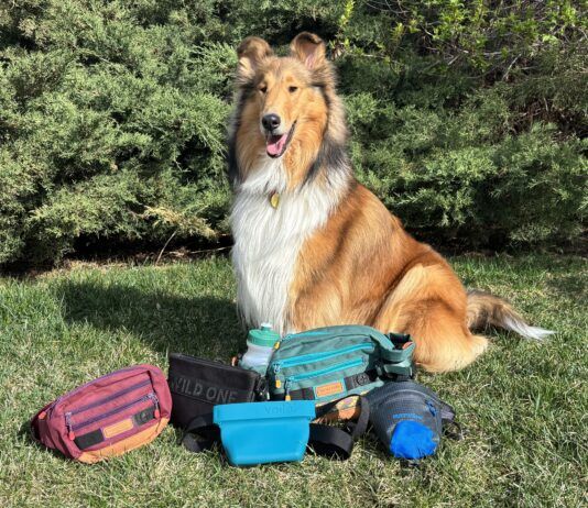 There are a variety of treat pouches available to dog owners. Which is the best dog treat pouch depends on whether you're hiking, walking, or training.