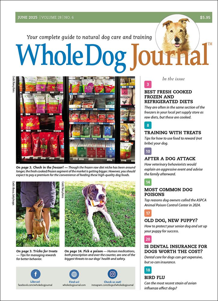 Whole Dog Journal Subscription (Gift) Whole Dog Journal - Main Image