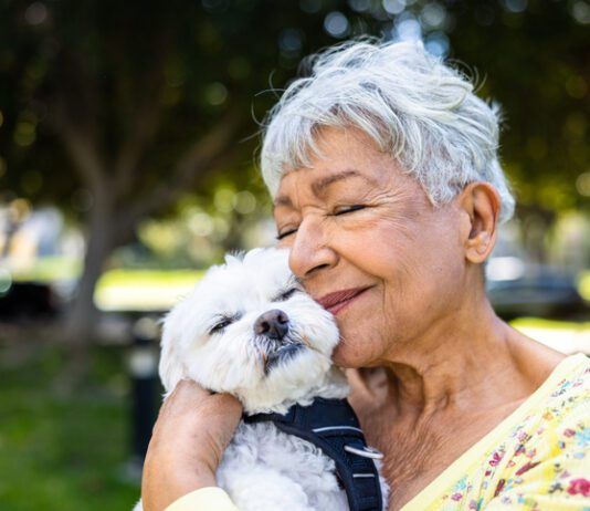 When are you too old to adopt a dog or other pet?