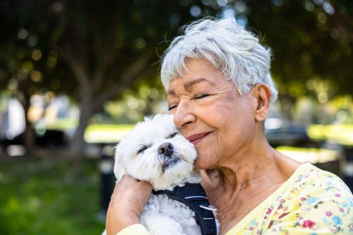 When are you too old to adopt a dog or other pet?