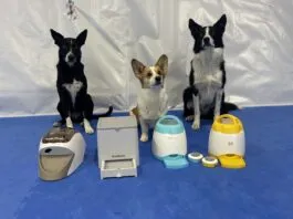 The best remote dog treat dispenser can play an important role in dog training.