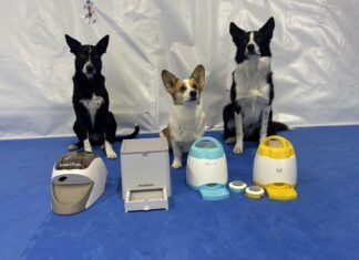 The best remote dog treat dispenser can play an important role in dog training.