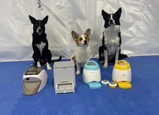 The best remote dog treat dispenser can play an important role in dog training.