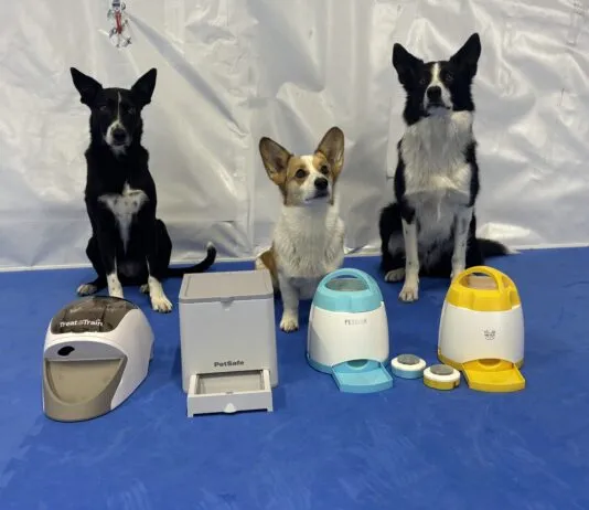 The best remote dog treat dispenser can play an important role in dog training.