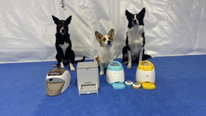 The best remote dog treat dispenser can play an important role in dog training.