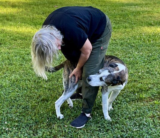 What behavior does your dog have that drives you slightly crazy?