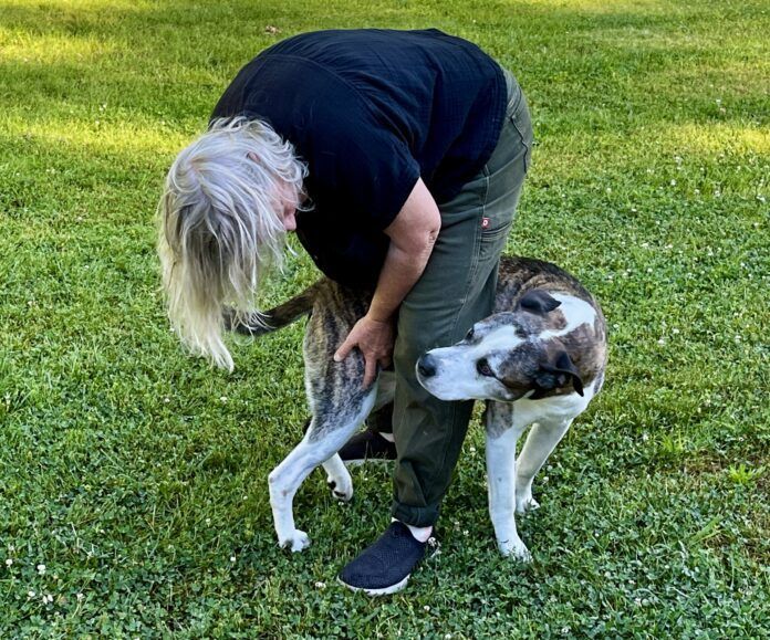 What behavior does your dog have that drives you slightly crazy?