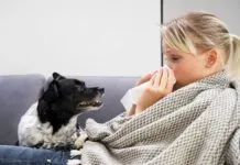 Humans can get sick from their dogs, and vice versa with a host of diseases being shared between the species.