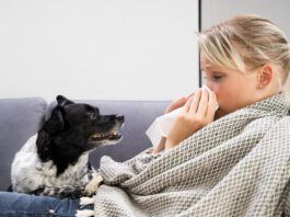 Humans can get sick from their dogs, and vice versa with a host of diseases being shared between the species.