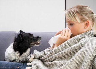 Humans can get sick from their dogs, and vice versa with a host of diseases being shared between the species.