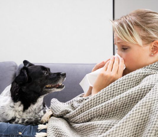 Humans can get sick from their dogs, and vice versa with a host of diseases being shared between the species.