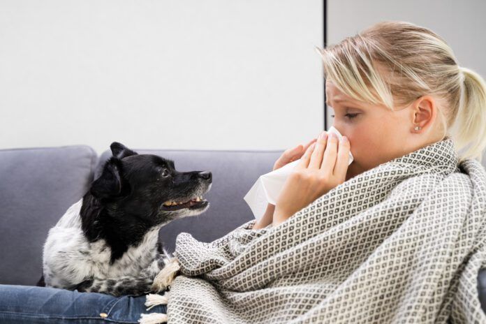 Humans can get sick from their dogs, and vice versa with a host of diseases being shared between the species.