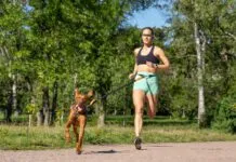 Running with your dog can be a great way to keep both of you in shape.