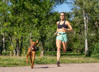 Running with your dog can be a great way to keep both of you in shape.