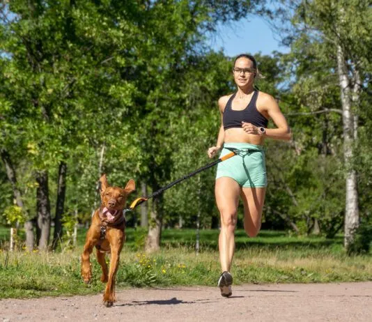 Running with your dog can be a great way to keep both of you in shape.