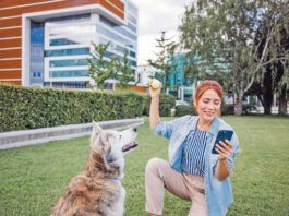 Free dog training apps offer ways for a new dog training to manage their dog's training.