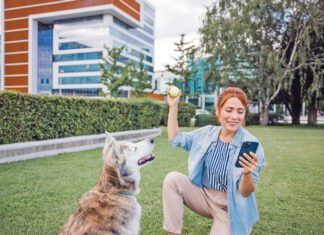 Free dog training apps offer ways for a new dog training to manage their dog's training.