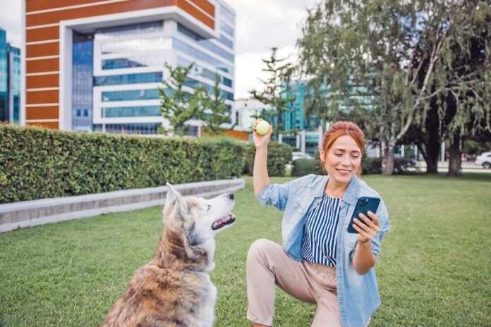 Free dog training apps offer ways for a new dog training to manage their dog's training.