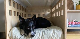 The fable dog bed is one of the best washable dog beds that fits in a crate.