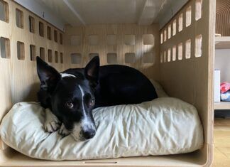 The fable dog bed is one of the best washable dog beds that fits in a crate.