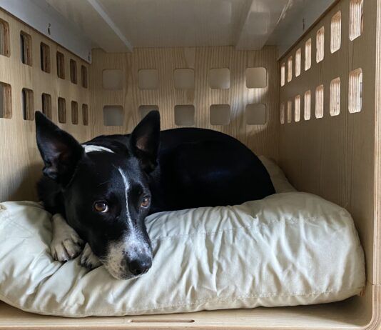 The fable dog bed is one of the best washable dog beds that fits in a crate.