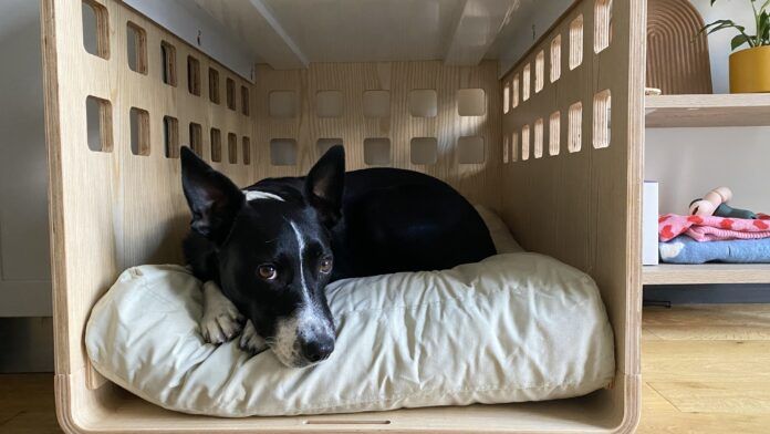 The fable dog bed is one of the best washable dog beds that fits in a crate.