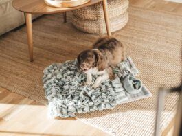 What Does Catnip Do to Dogs? Catnip doesn't do much for most dogs. Rarely, a few dogs may experience a mild sedative effect.