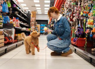 Dog essentials are the gear and products that make your dog's training and life easier and more complete.