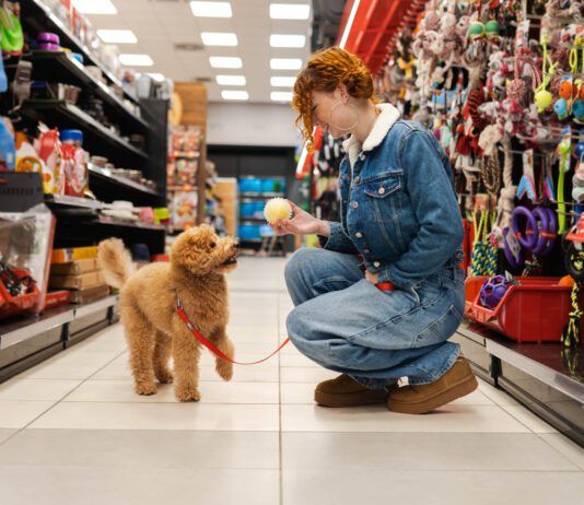 Dog essentials are the gear and products that make your dog's training and life easier and more complete.