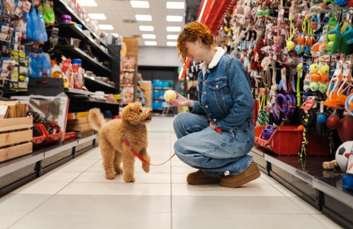 Dog essentials are the gear and products that make your dog's training and life easier and more complete.