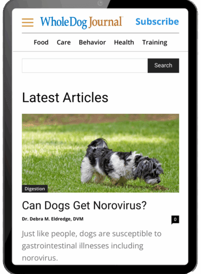 Whole Dog Journal Subscription